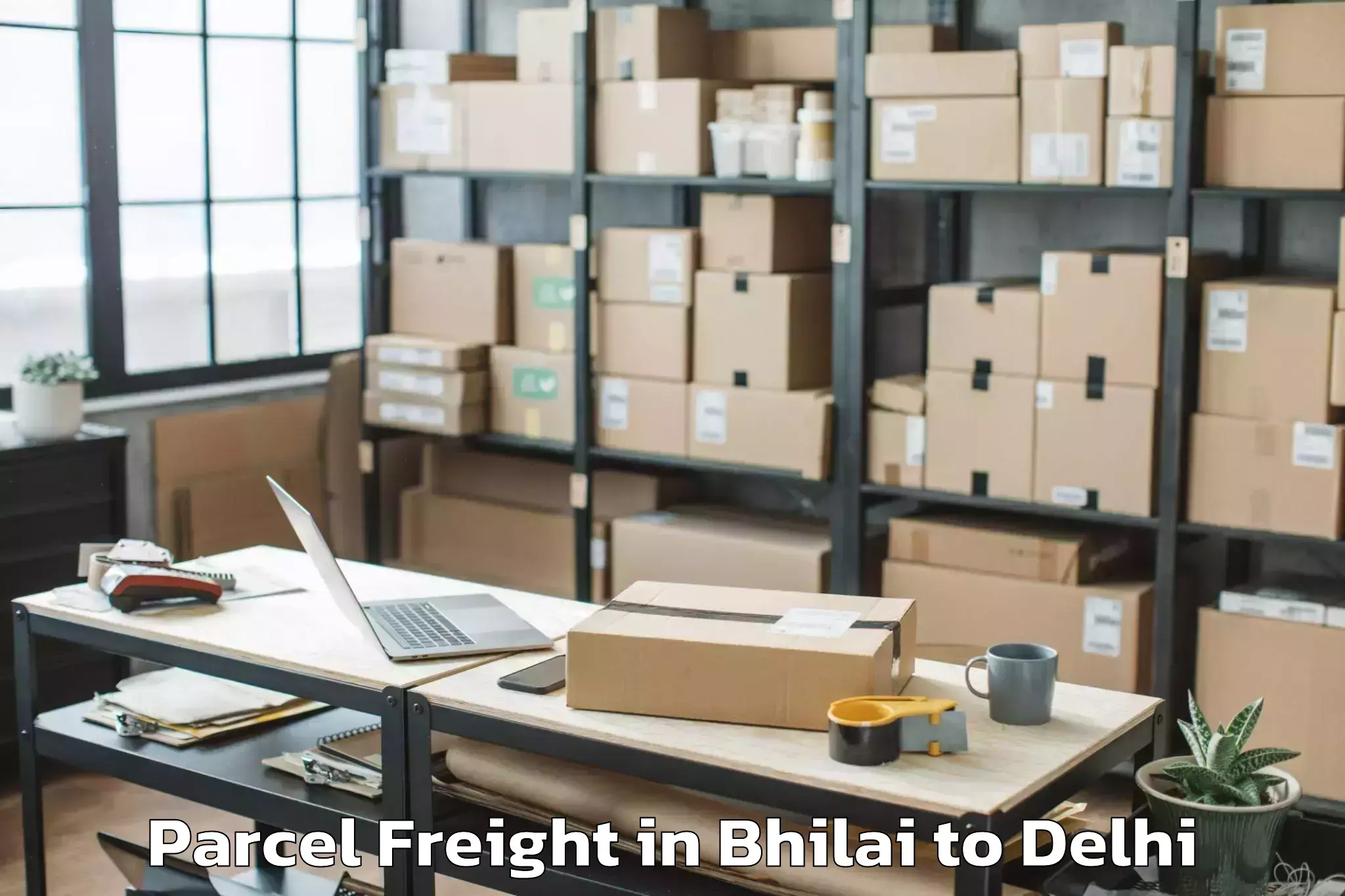 Book Bhilai to V3s East Centre Mall Parcel Freight Online